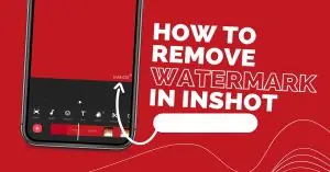 How to Permanently Remove Inshot Watermark from Videos