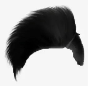 Men hair PNG image transparent image download, size: 1024x819px
