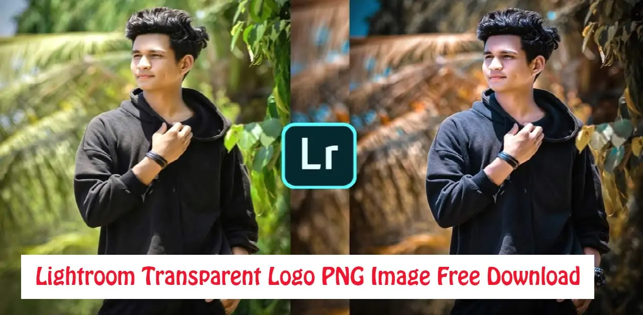 Lightroom Transparent Logo PNG HD Image Free Download